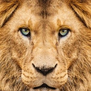 Meet your Posher, Leonard c.